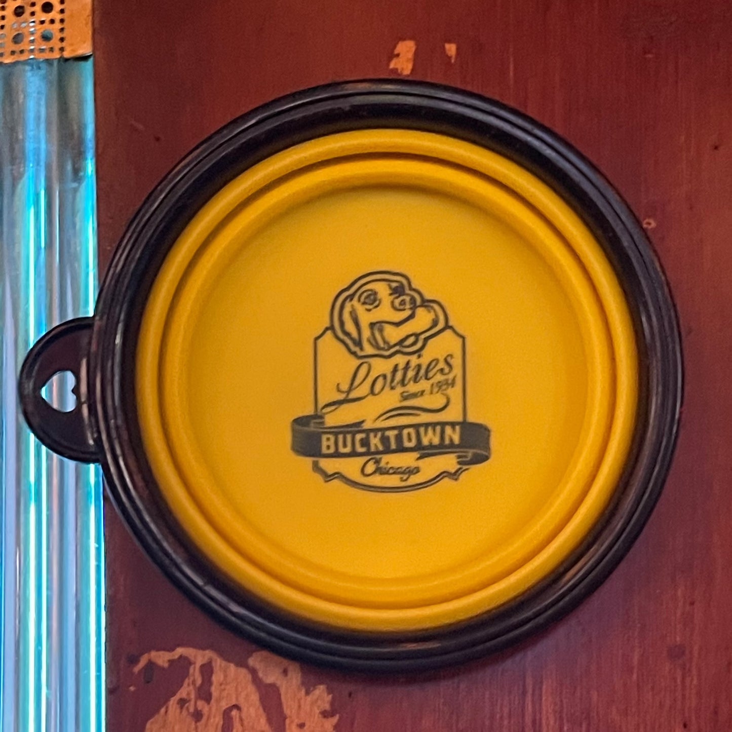 Lotties Portable Dog Bowl
