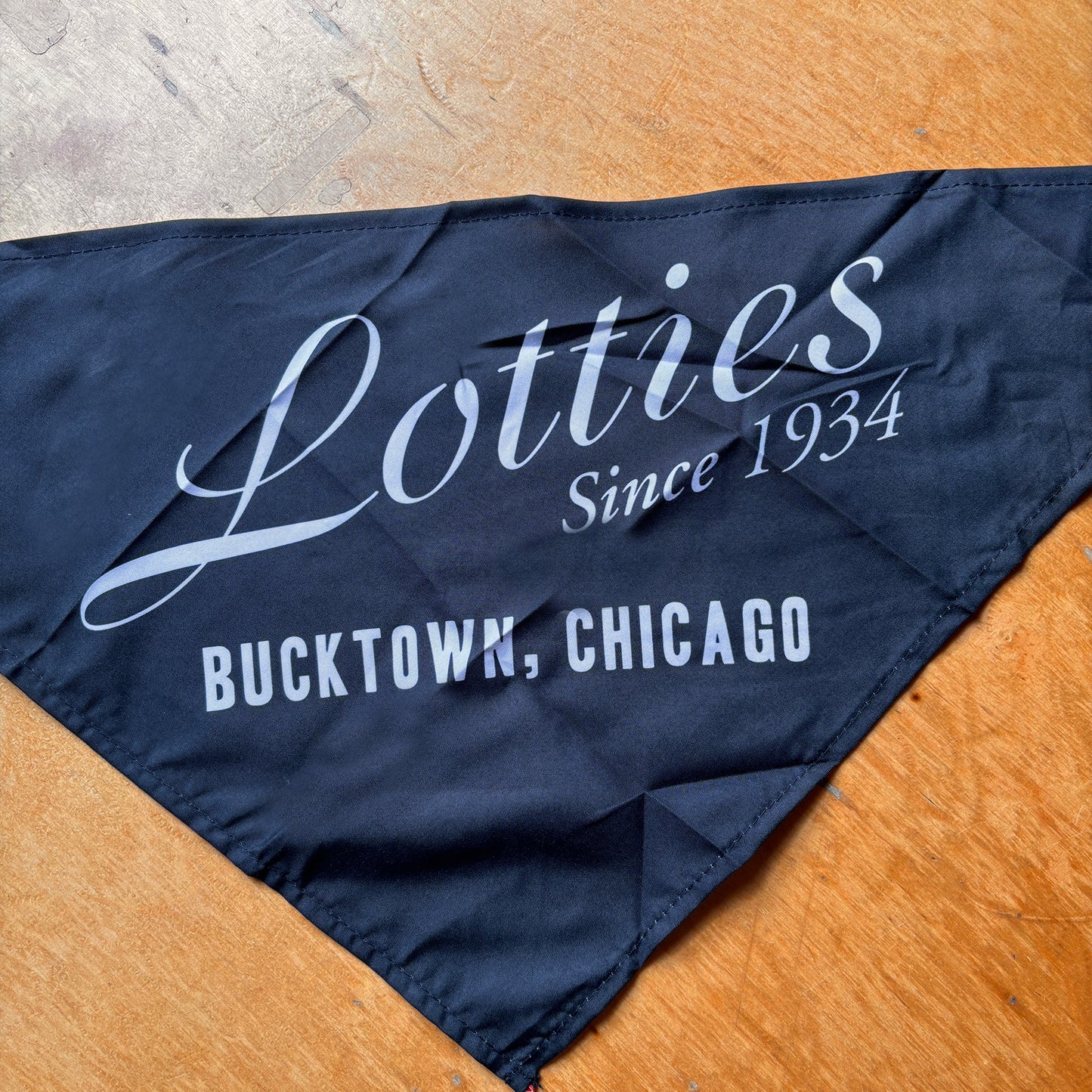 Lotties Bandana Perfect for Man's Best Friend